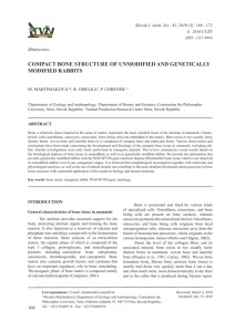 compact bone structure of unmodified and genetically