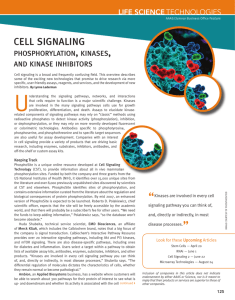 CELL SIGNALING