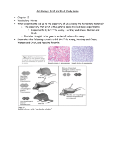 Adv Biology: DNA and RNA Study Guide • Chapter