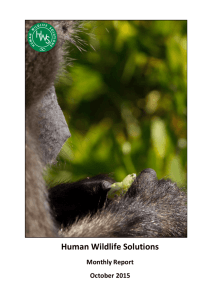 Baboon monthly management report