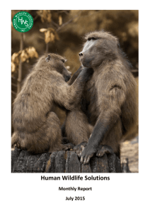 Human Wildlife Solutions