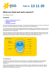 What are head and neck cancers?