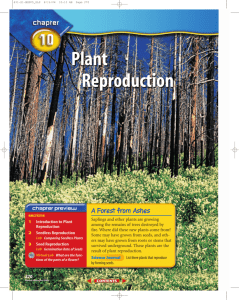 Chapter 10: Plant Reproduction