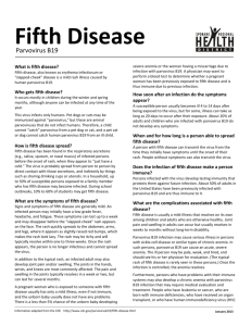 Fifth Disease - Spokane Regional Health District