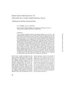 1969 High-yield Preparation of Isolated Rat Liver Parenchymal Cells