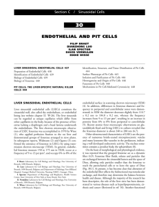 Endothelial and Pit Cells