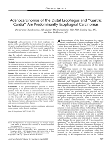 Adenocarcinomas of the Distal Esophagus and ''Gastric Cardia'' Are