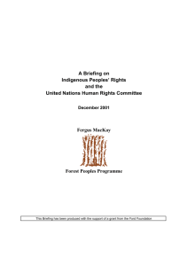 A Briefing on Indigenous Peoples' Rights and the United Nations