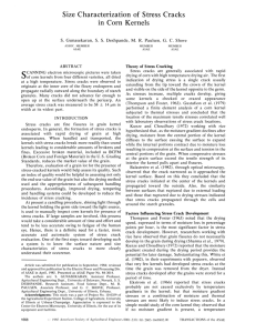 Size Characterization of Stress Cracks in Corn Kernels