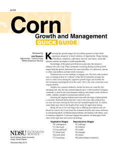 Corn Growth and Management Quick Guide