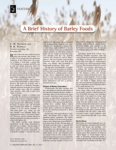 A Brief History of Barley Foods