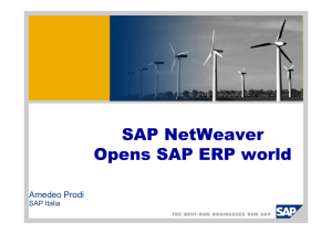 SAP NetWeaver Opens SAP ERP world