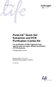 PureLink Quick Gel Extraction and PCR Purification Combo Kit