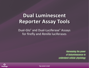 Dual Luminescent Reporter Assay Tools