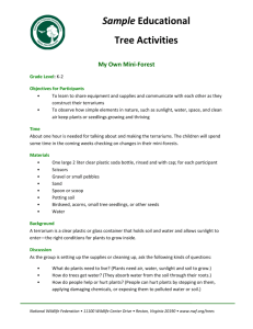 Sample Educational Tree Activities