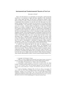 Instrumental and Noninstrumental Theories of Tort Law