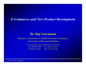 E-Commerce and New Product Development Dr. Raj Veeramani
