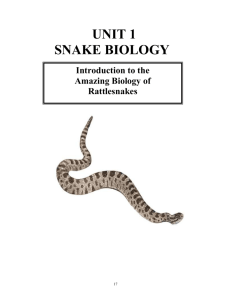 unit 1 snake biology