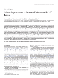 Schema Representation in Patients with Ventromedial PFC Lesions