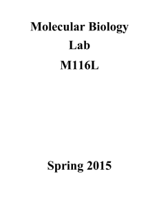 Molecular Biology Lab M116L Spring 2015