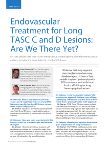 Endovascular Treatment for Long TASC C and D Lesions: Are We