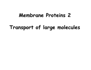 Membrane Proteins 2 Transport of large molecules