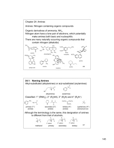 145 Chapter 24: Amines Amines: Nitrogen containing organic