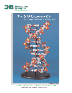 The DNA Discovery Kit - 3D Molecular Designs