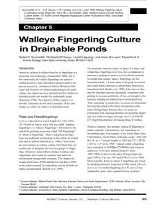 Walleye Fingerling Culture in Drainable Ponds