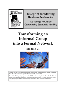 Module VI: Transforming an Informal Group into a Formal Network