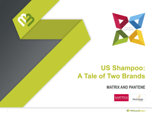 US Shampoo: A Tale of Two Brands