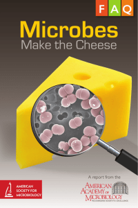 Microbes Make the Cheese - Cooperative Extension System