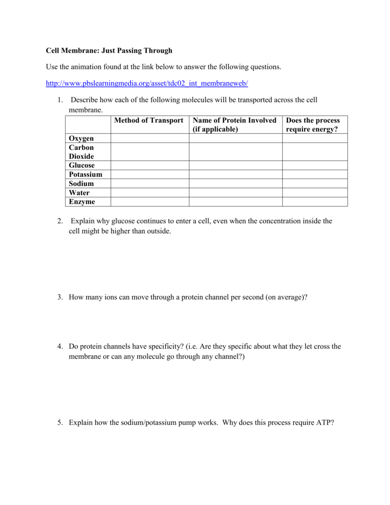 Cell Membrane Images Worksheet Answers Englishworksheetmyid 2998