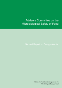 Microbiological Report - Food Standards Agency