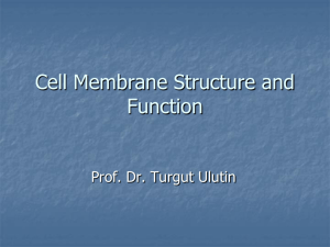 across the cell membrane?