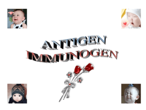 Antigen - Immunogen
