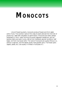 monocots - Florida Exotic Pest Plant Council