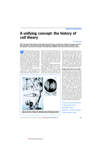 A unifying concept: the history of cell theory