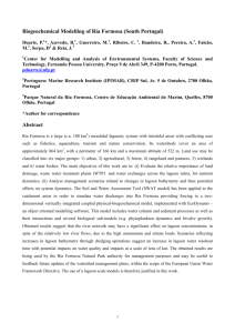 Paper - Biogeochemical Modelling of Ria Formosa v 7