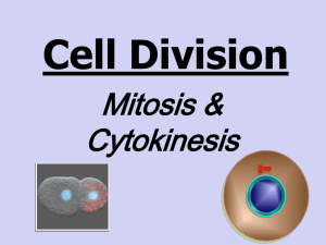 Cell Division & Mitosis