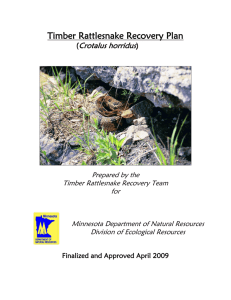 Timber Rattlesnake Recovery Plan
