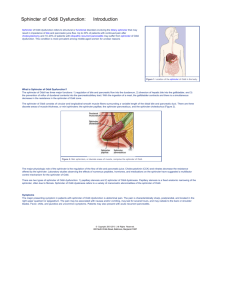 Sphincter of Oddi Dysfunction: Introduction
