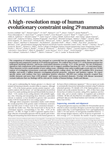 A high-resolution map of human evolutionary constraint using 29