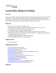 Human Evolution-