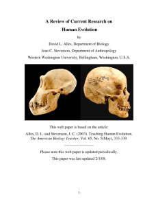 A Review of Current Research on Human Evolution