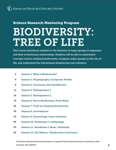 biodiversity: tree of life - American Museum of Natural History