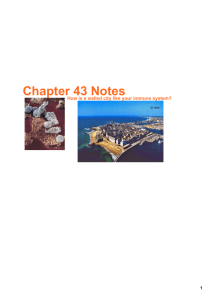Chapter 43 Notes