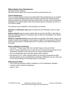 DNA Isolation from Strawberries - Genome Sciences