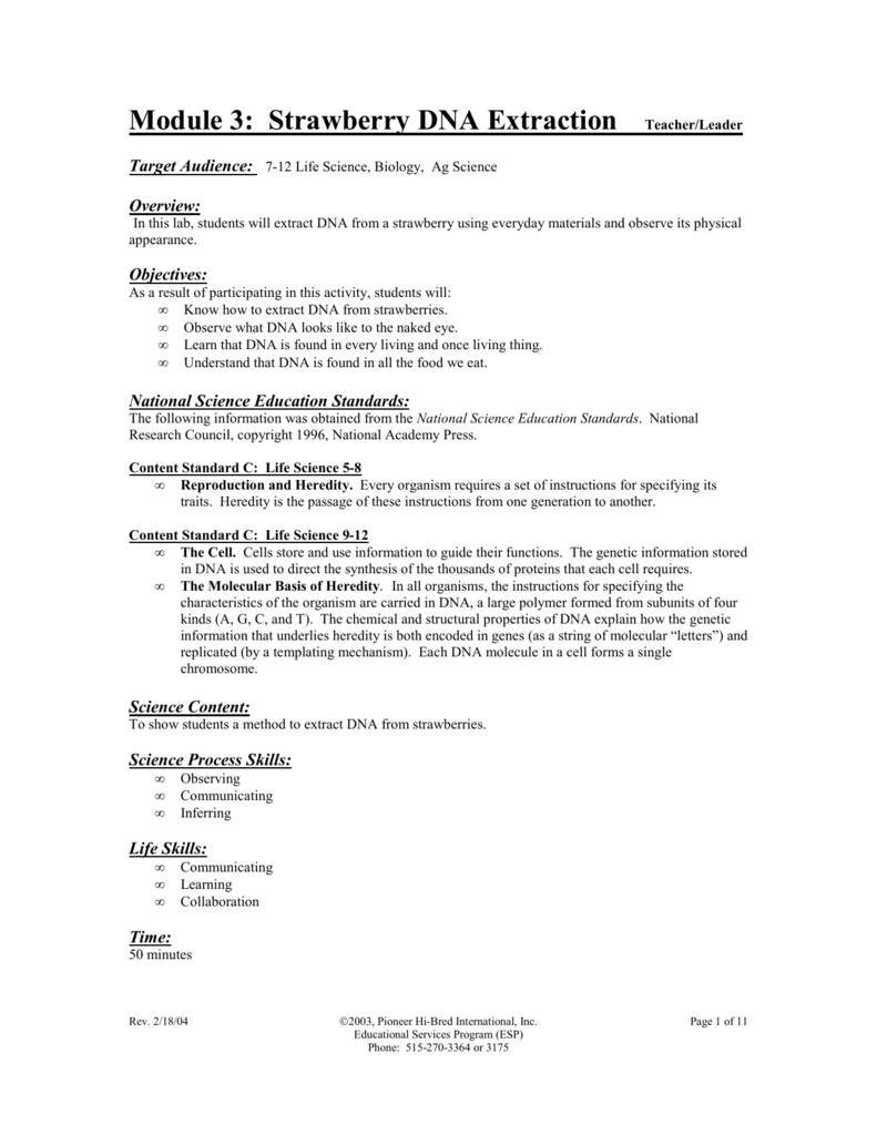 Strawberries & DNA In Strawberry Dna Extraction Lab Worksheet