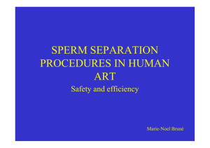 Sperm separation procedures in human ART